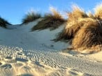 Sand dunes Sand dunes